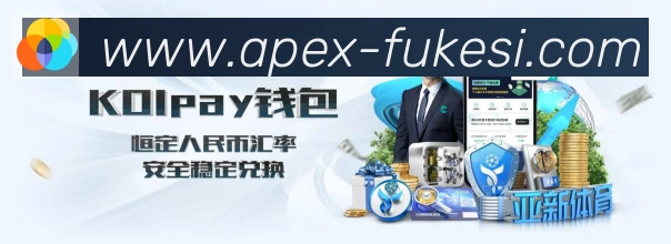 未来规划